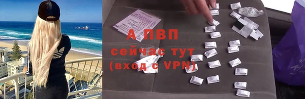 не бодяженный Бородино