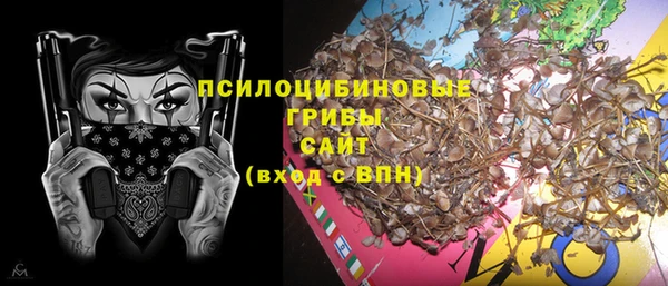 ECSTASY Бугульма